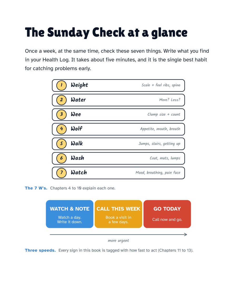 The Sunday Check at a glance: the 7 W's and the three speeds